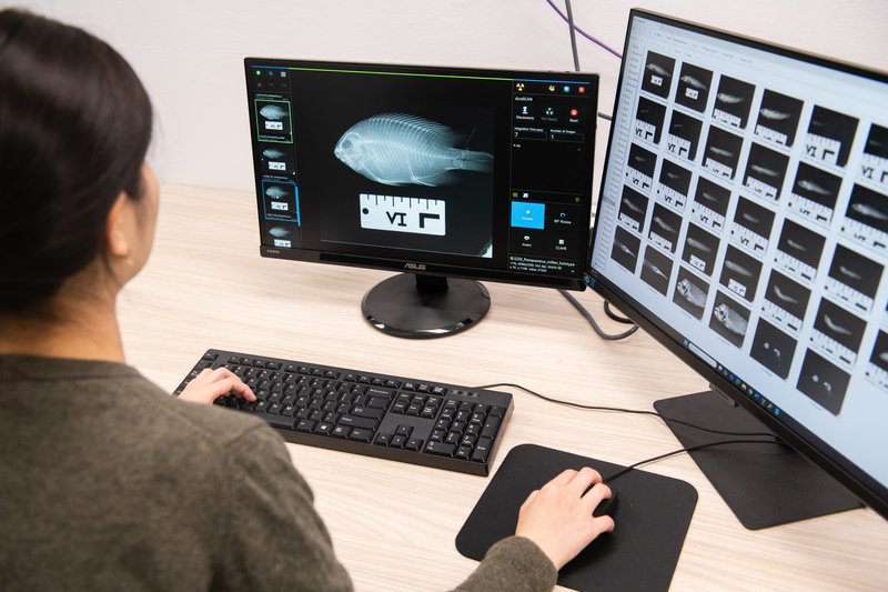 Collections Enhancement Project (CEP) X-Ray