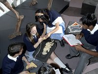 Biological Diversity