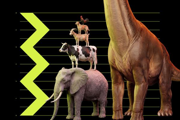 Dinosaurs of Patagonia - thumbnail V1