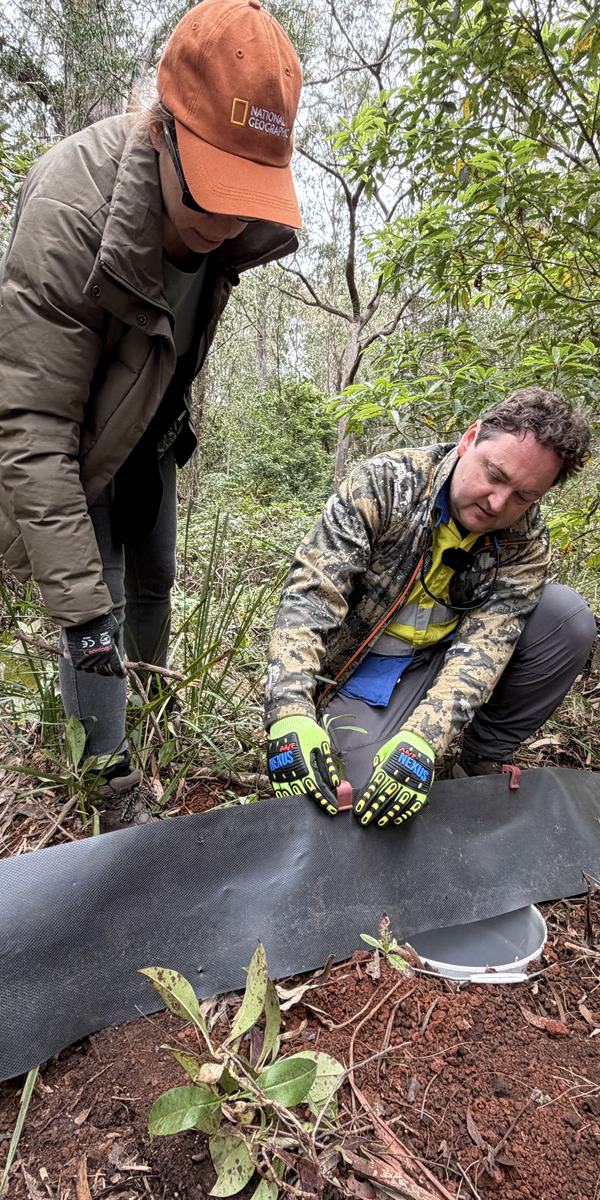 Dane Trembath and Jodi Rowley setting up pitfall trap (Bryan Lessard)