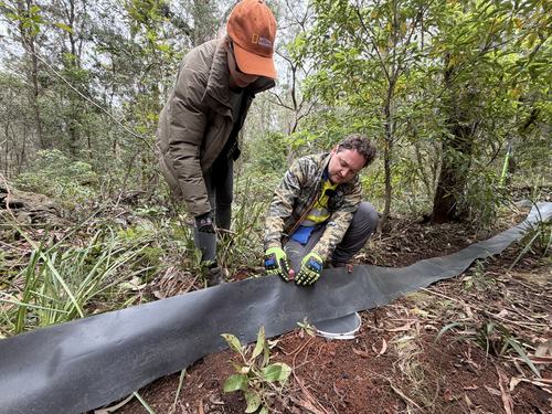 Dane Trembath and Jodi Rowley setting up pitfall trap (Bryan Lessard)