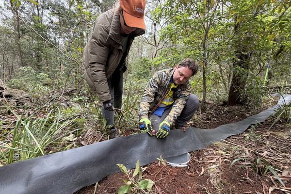 Dane Trembath and Jodi Rowley setting up pitfall trap (Bryan Lessard)