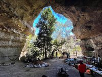 Dargan Shelter, Blue Mountains.