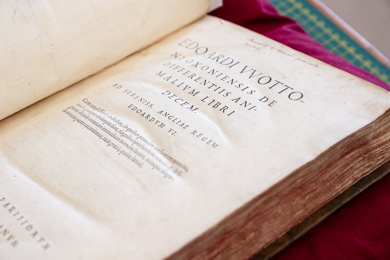 De Differentiis Animalium - Edward Wotton, 1552. The oldest book at the Australian Museum