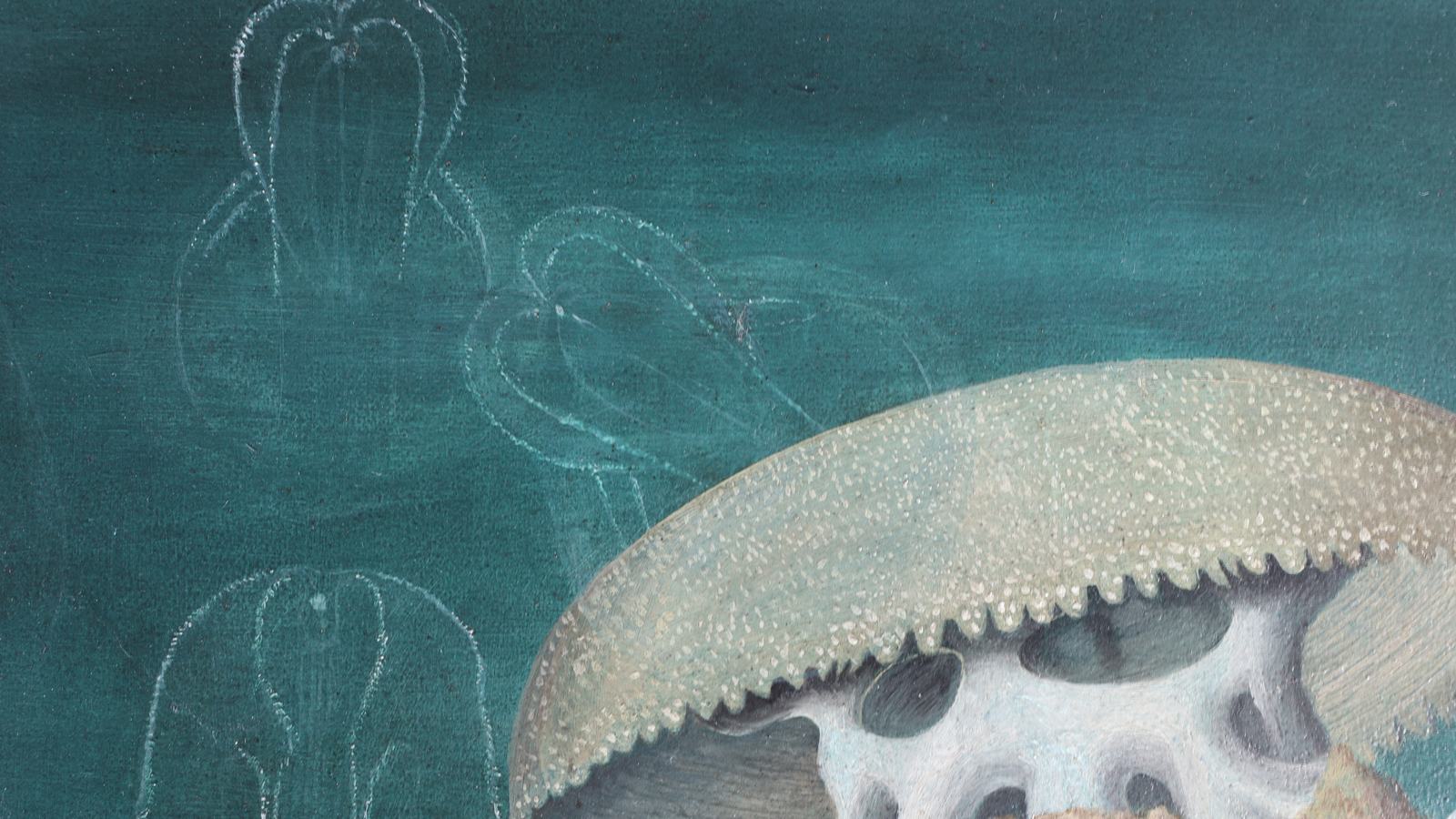 Close-up photograph of a colourful painting of a jellyfish.