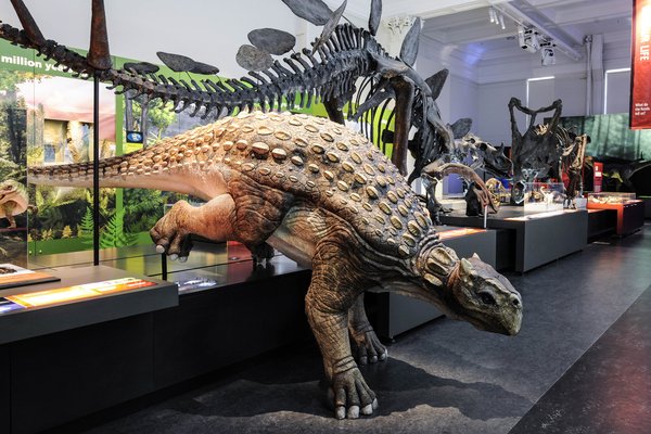 Documentation of Dinosaurs Gallery