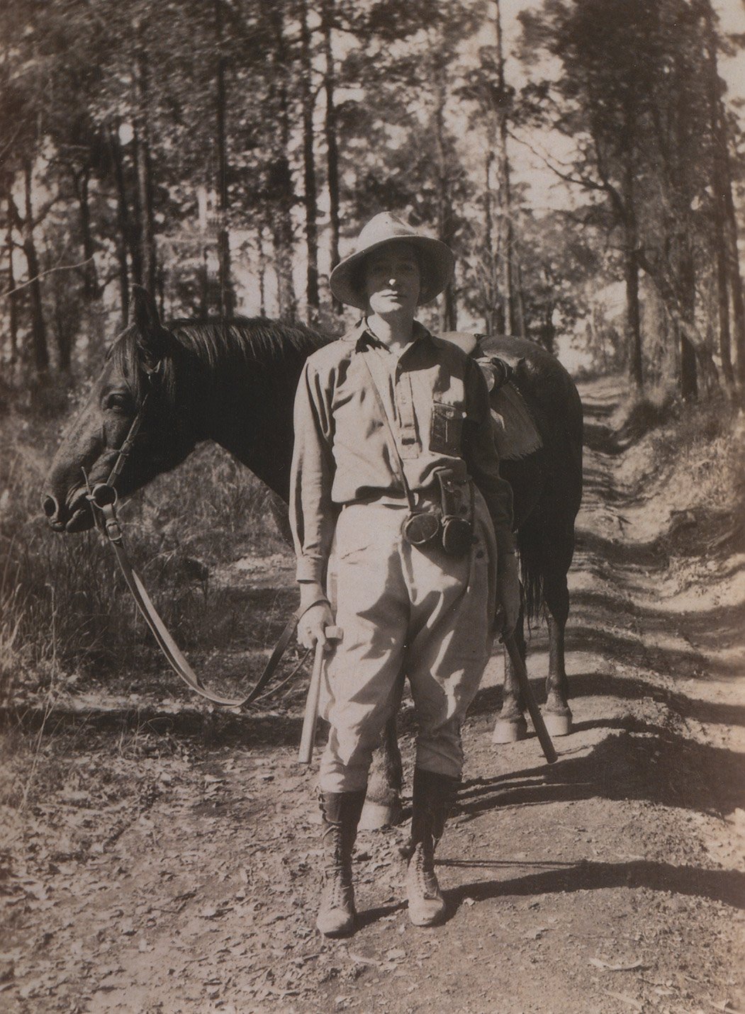 Dorothy Hill