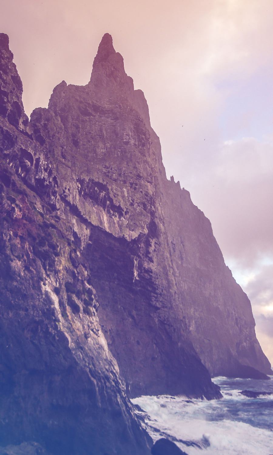 Environmental Film Festival - The Australian Museum