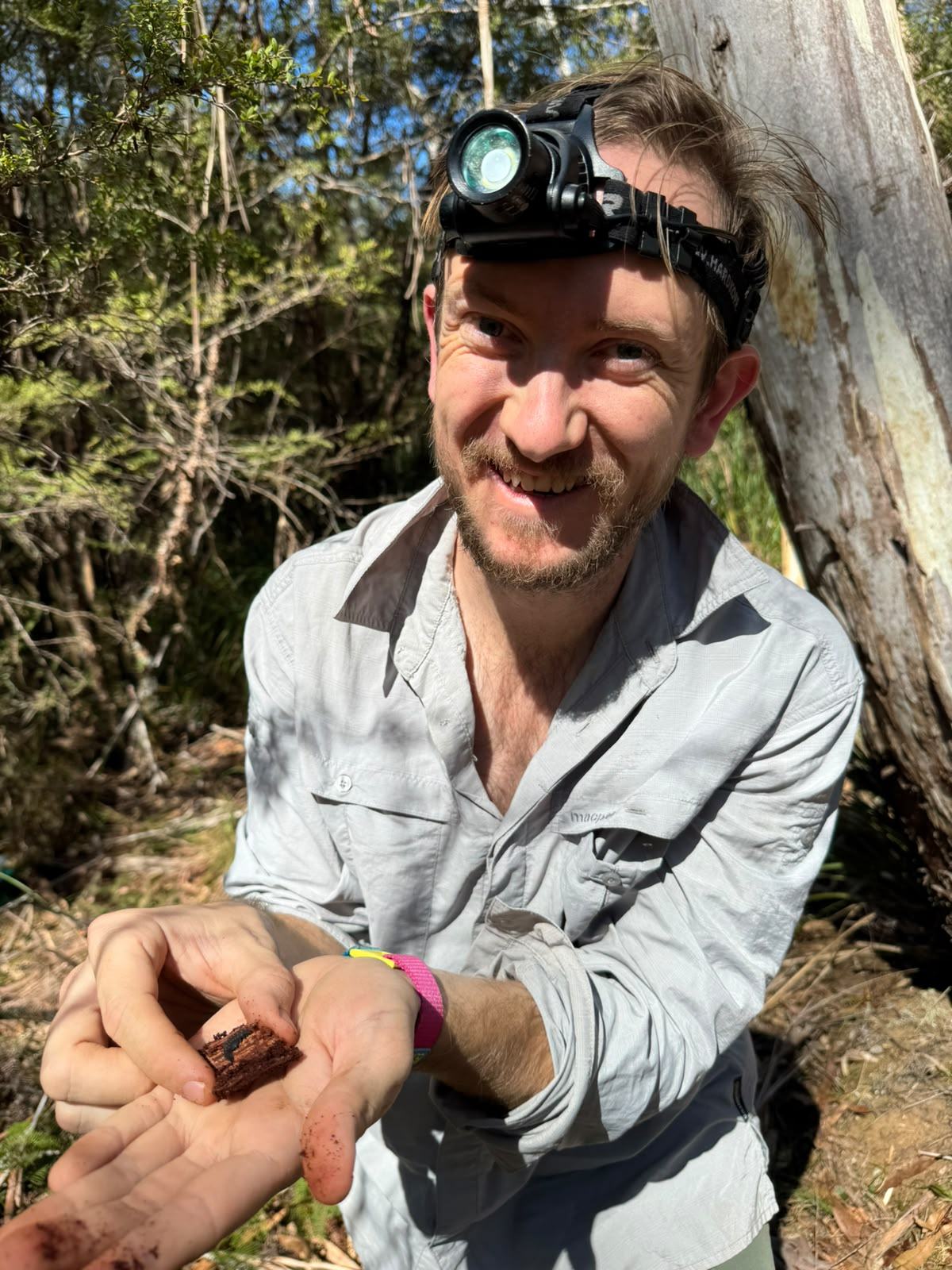 Ethan Briggs collecting spiders (Ben Daly)