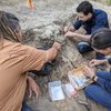 Three researchers crouched in an excavation pit uncovering a garli (dingo) skeleton.