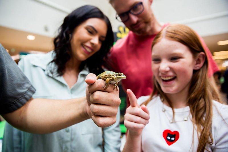 FrogID Touring Exhibition - Stockland Shellharbour