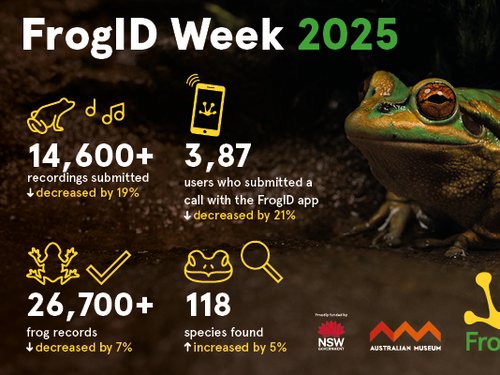 FrogID Week 2025 infographic