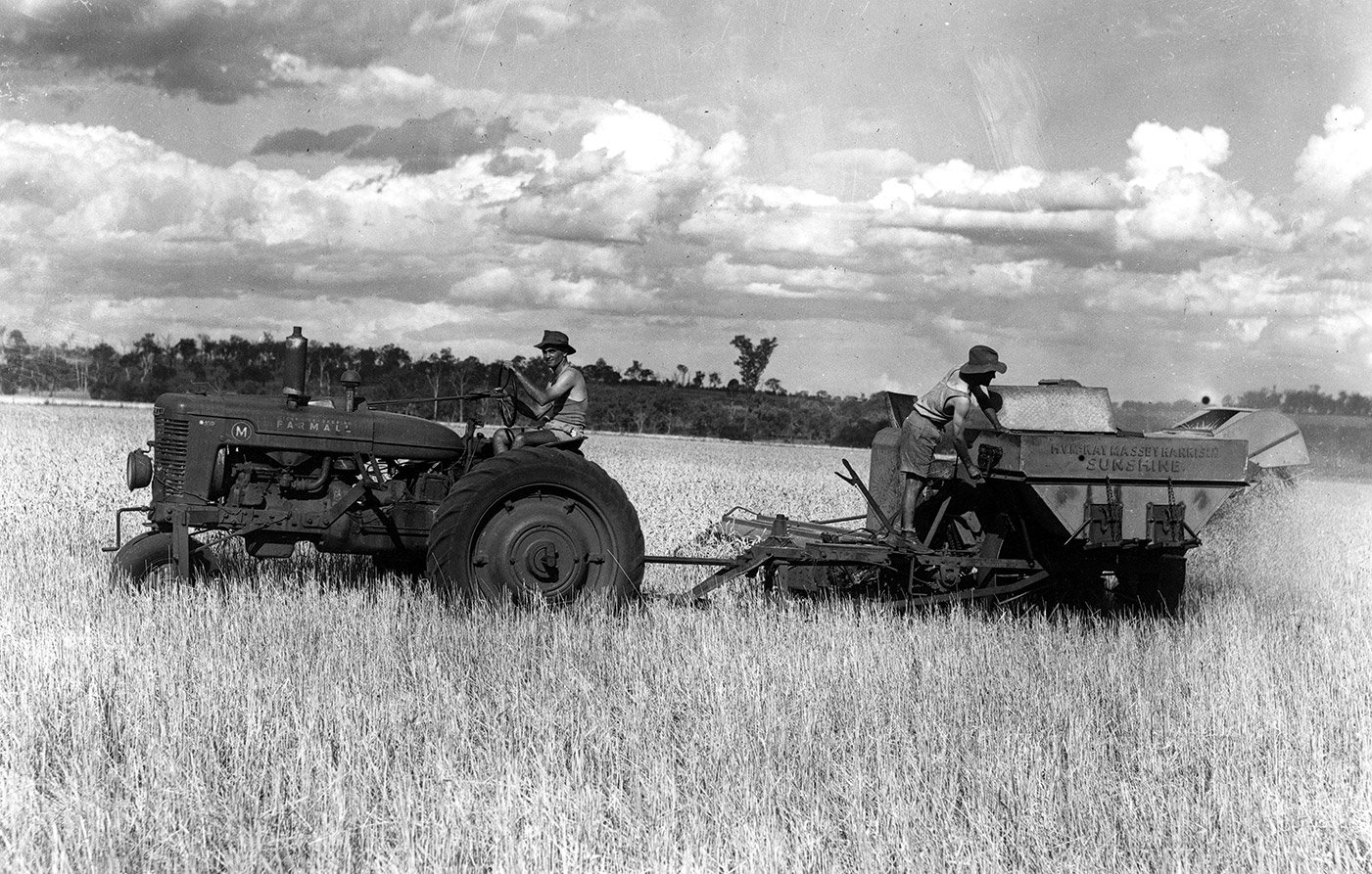 Grain harvesting