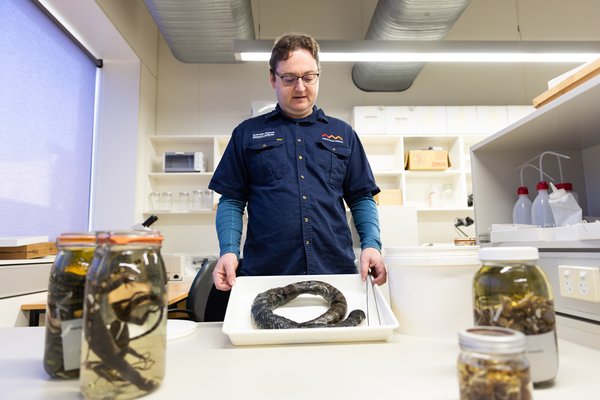 Herpetology Collection