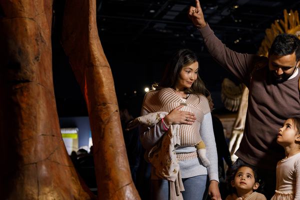 Family looks up in awe at towering dinosaur skeleton legs, father pointing upward beside height measurement chart in exhibition.