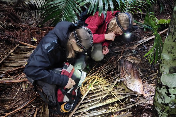 COILS team in Norfolk Island