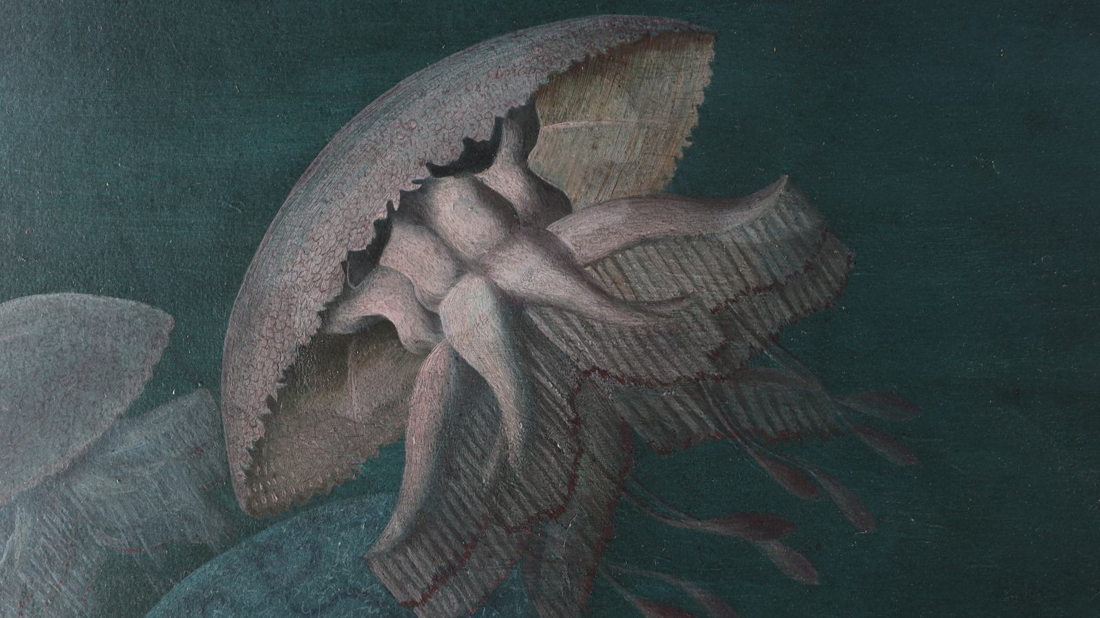 Close-up photograph of a jellyfish in an oil painting.