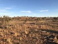 Ivanhoe Menindee rd near Talkwaka Baaka junction