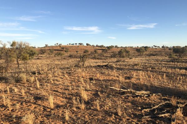 Ivanhoe Menindee rd near Talkwaka Baaka junction