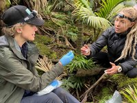 Isabel Hyman and Caitlin swabbing on Lord Howe Island
