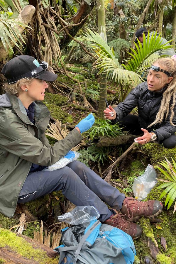 Isabel Hyman and Caitlin swabbing on Lord Howe Island