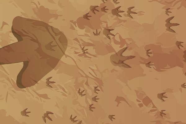 Winton Trackway landscape view