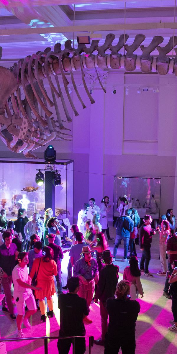 Jurassic Lounge: Heroes 18 June 2022