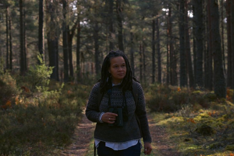 Lost for Words (2025), directed by Hannah Papacek Harper