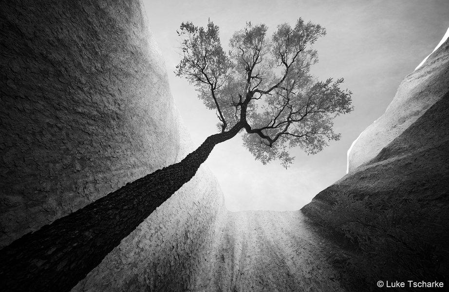 2023 AGNPY Winner Monochrome: Desert Tower by Luke Tscharke