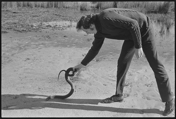 M00511 Snake [specimen] field trip