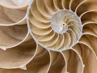 Malacology, photographed August 2024