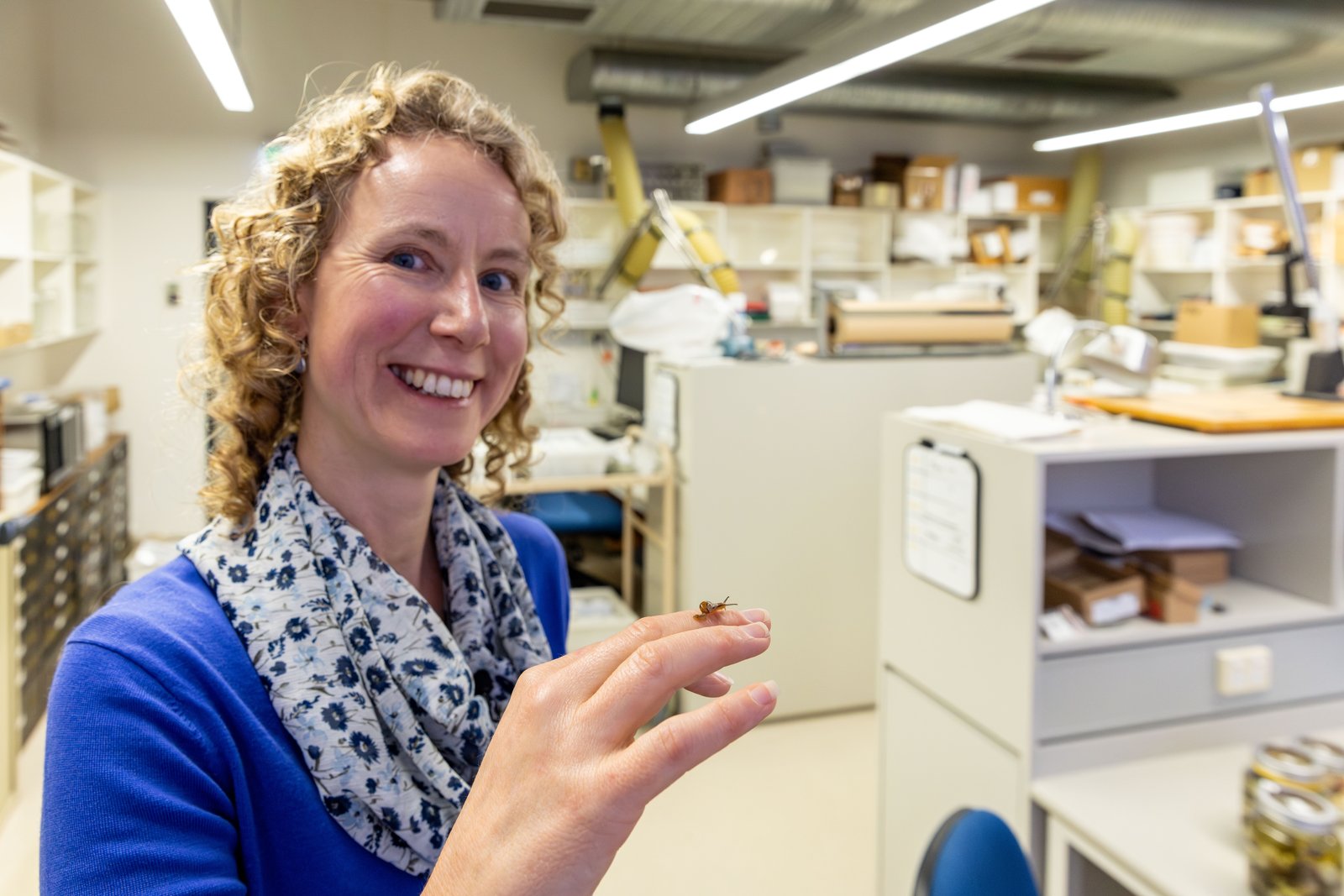 Malacology, photographed August 2024