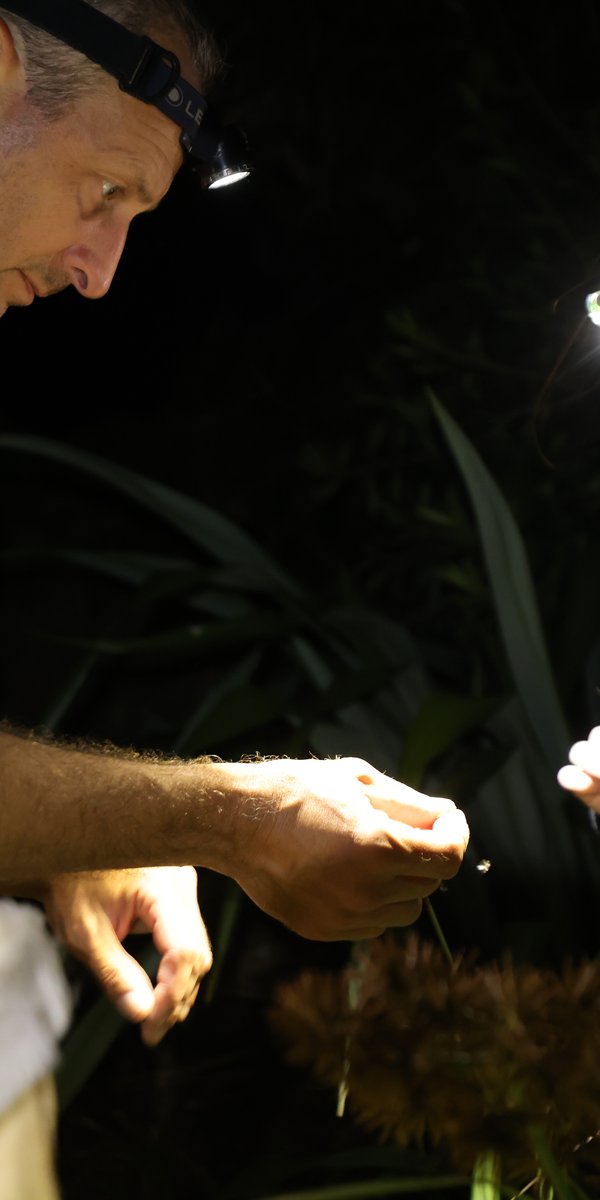 Mark Scott, Norfolk Island local, and Natalie Tees on Phillip Island at night
