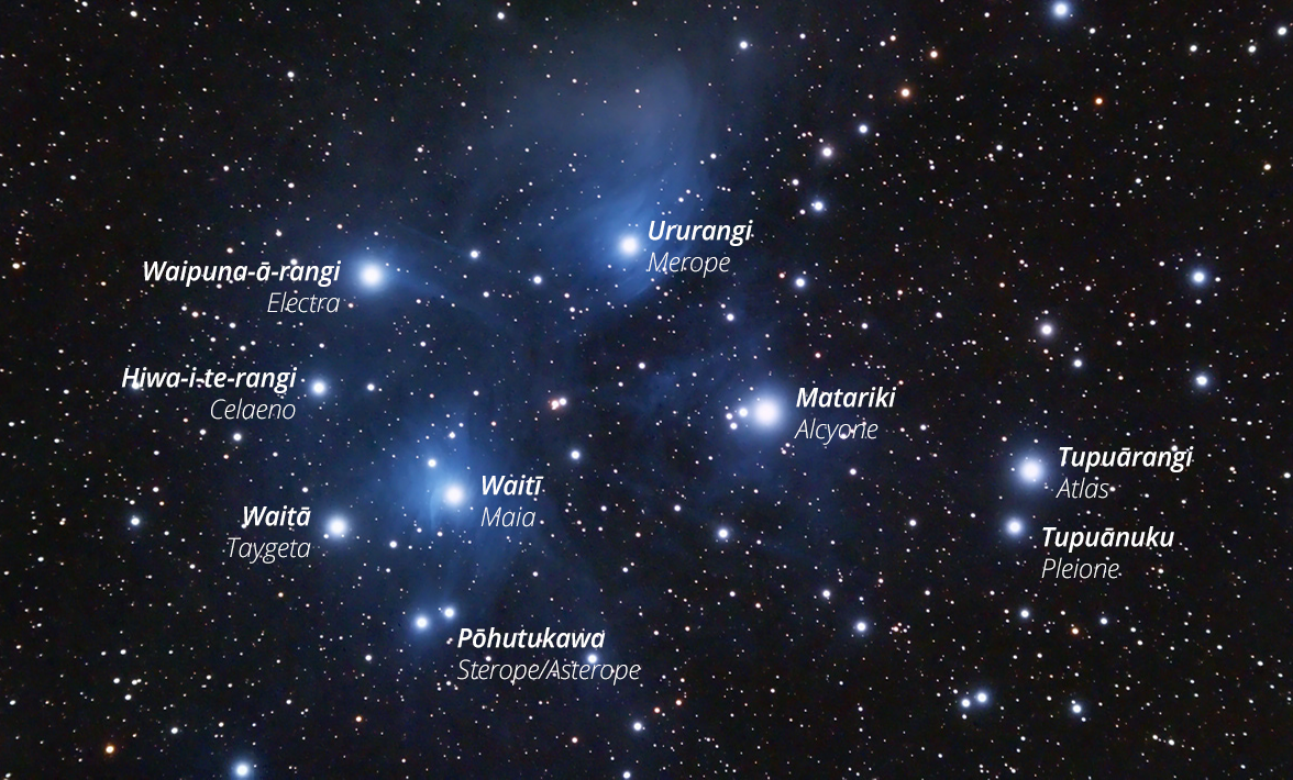 Names of the stars within the Matariki cluster