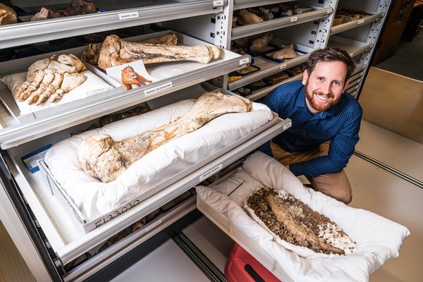 Matthew McCurry and baby Diprotodon jaw