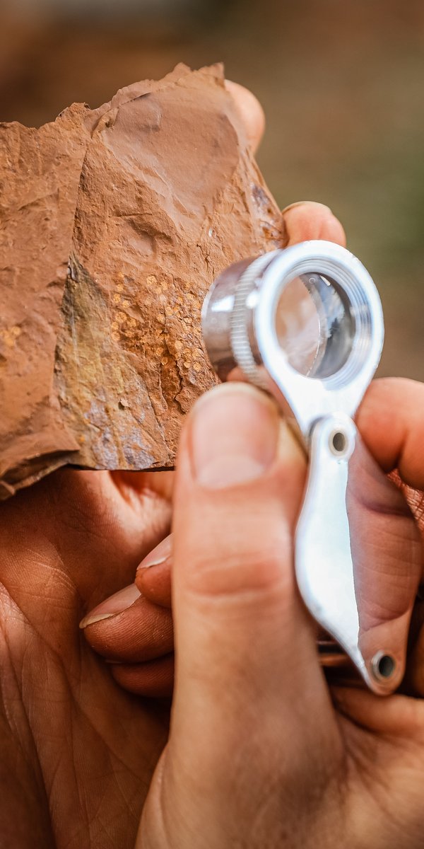 McGraths Flat Fossil Field