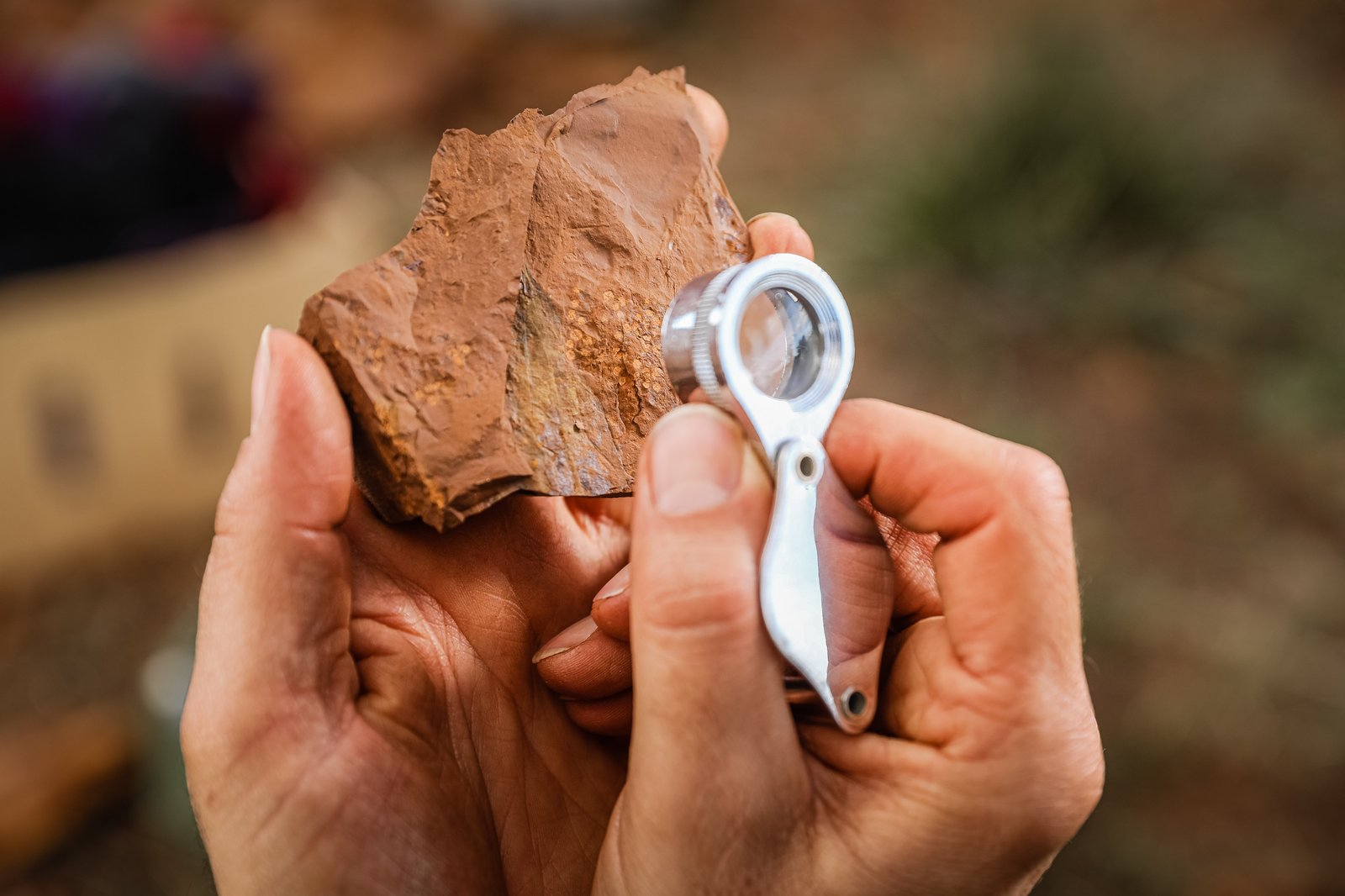 McGraths Flat Fossil Field