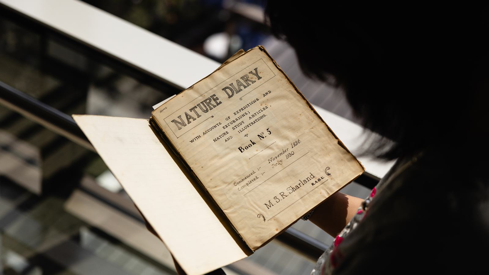 Michael Sharland Field Notes Collection Visit from Students