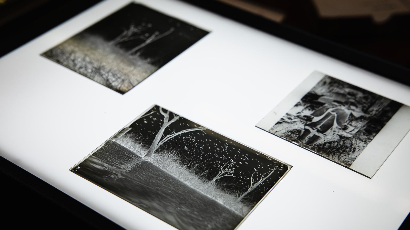 Michael Sharland Field Notes Collection Visit from Students