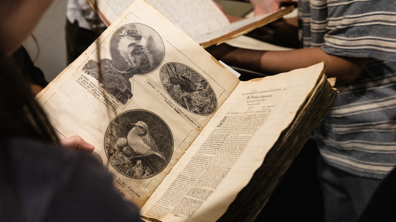 Michael Sharland Field Notes Collection Visit from Students