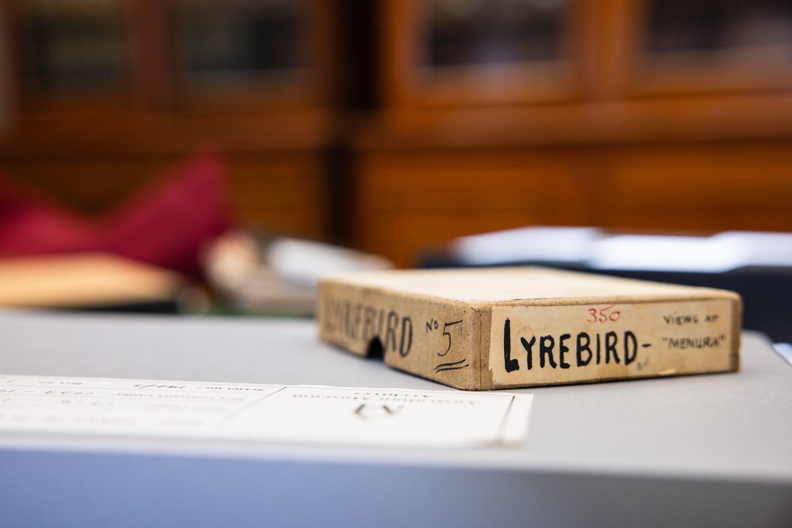 A close-up photo of a brown cardboard box with "Lyrebird" written on the front in capitals.