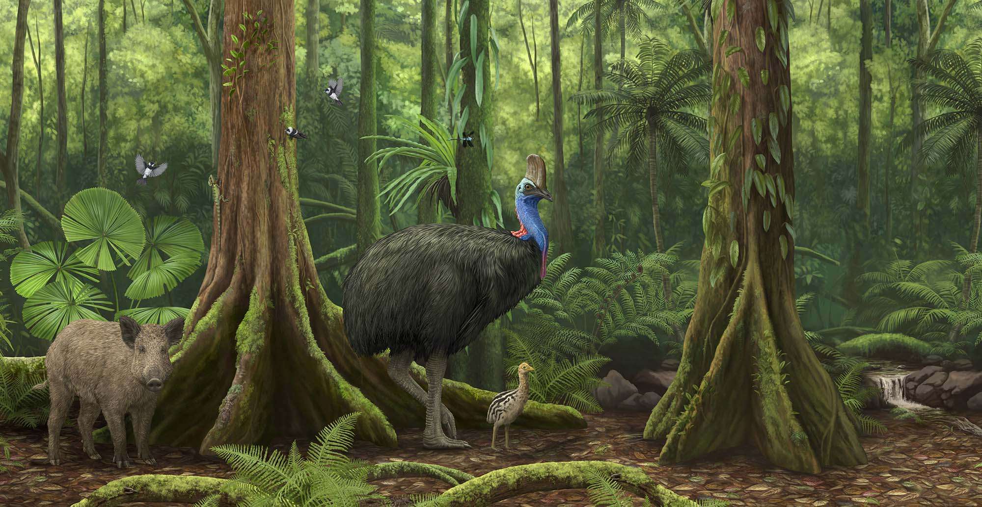 Surviving Australia - The Enduring Bush banner