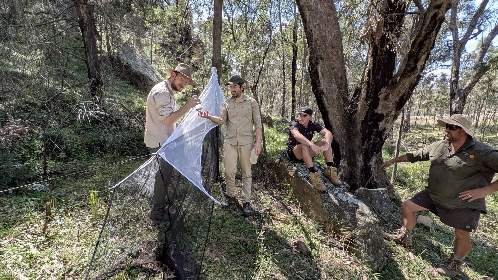 Murrunmala Dhawun Rangers and Bush Blitz