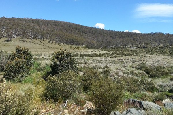 NABB18 Site NSW & ACT BushBlitz 2013
