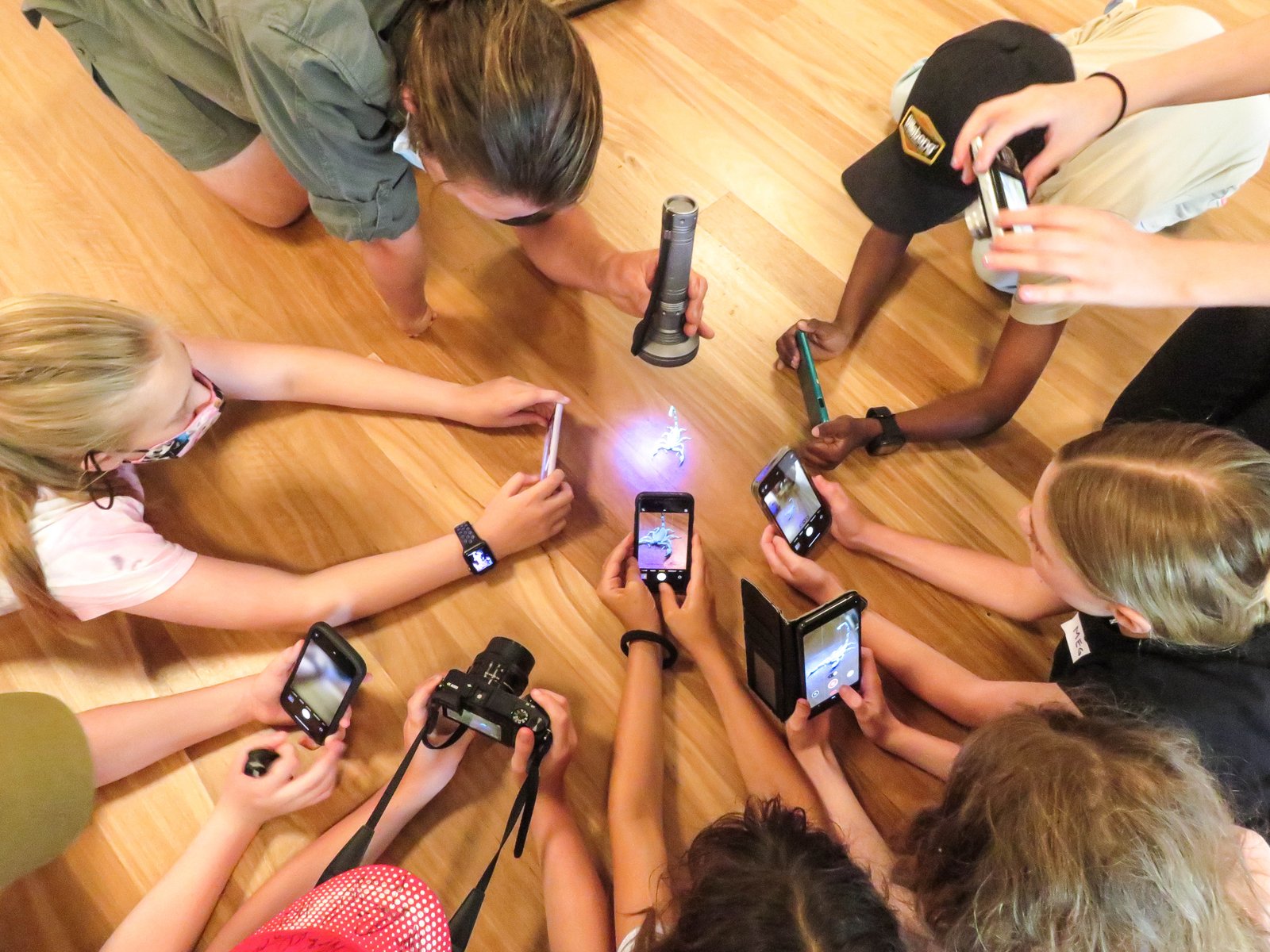 Nature Photography Workshop