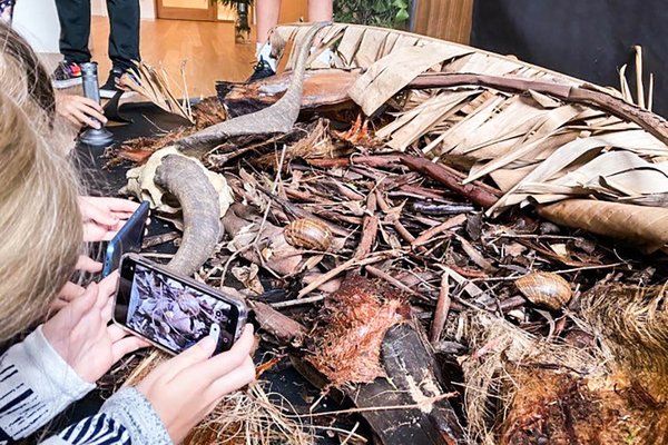 Nature Photography Workshop