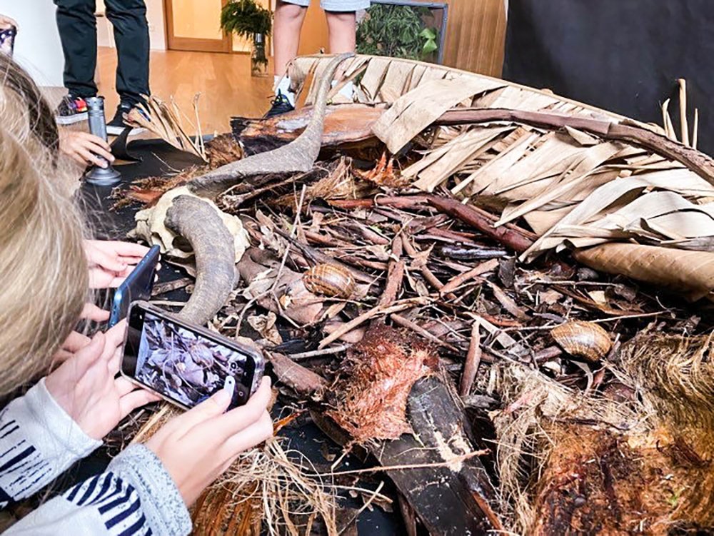 Nature Photography Workshop