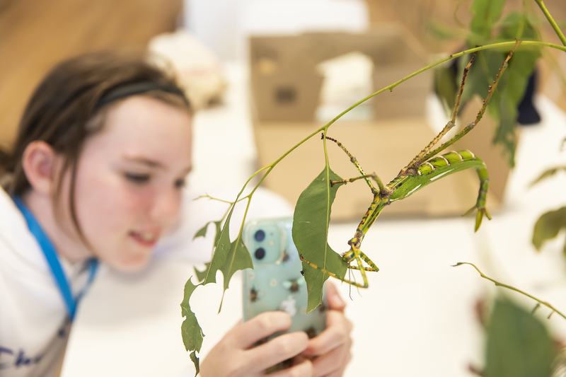 Nature Photography for Children Workshop 13 January 2021