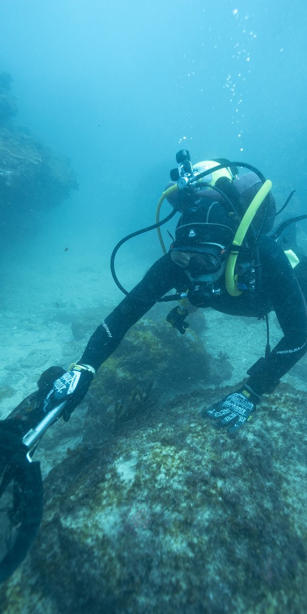 Norfolk Island Expedition 2025