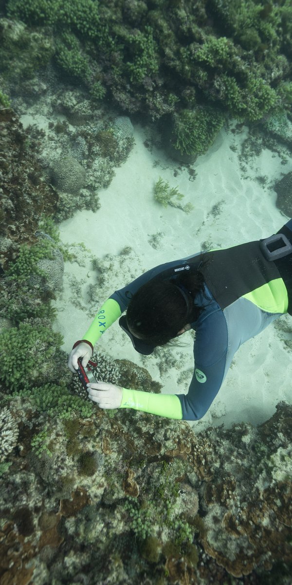 Norfolk Island Expedition 2025